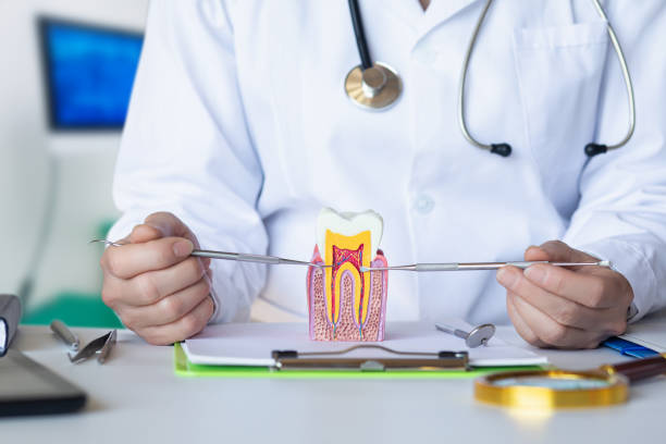 Best Emergency Root Canal Therapy in Donalsonville, GA